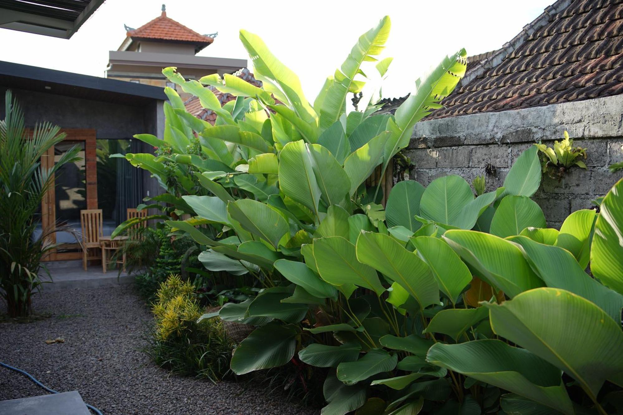 Dedeane Ubud Exterior foto