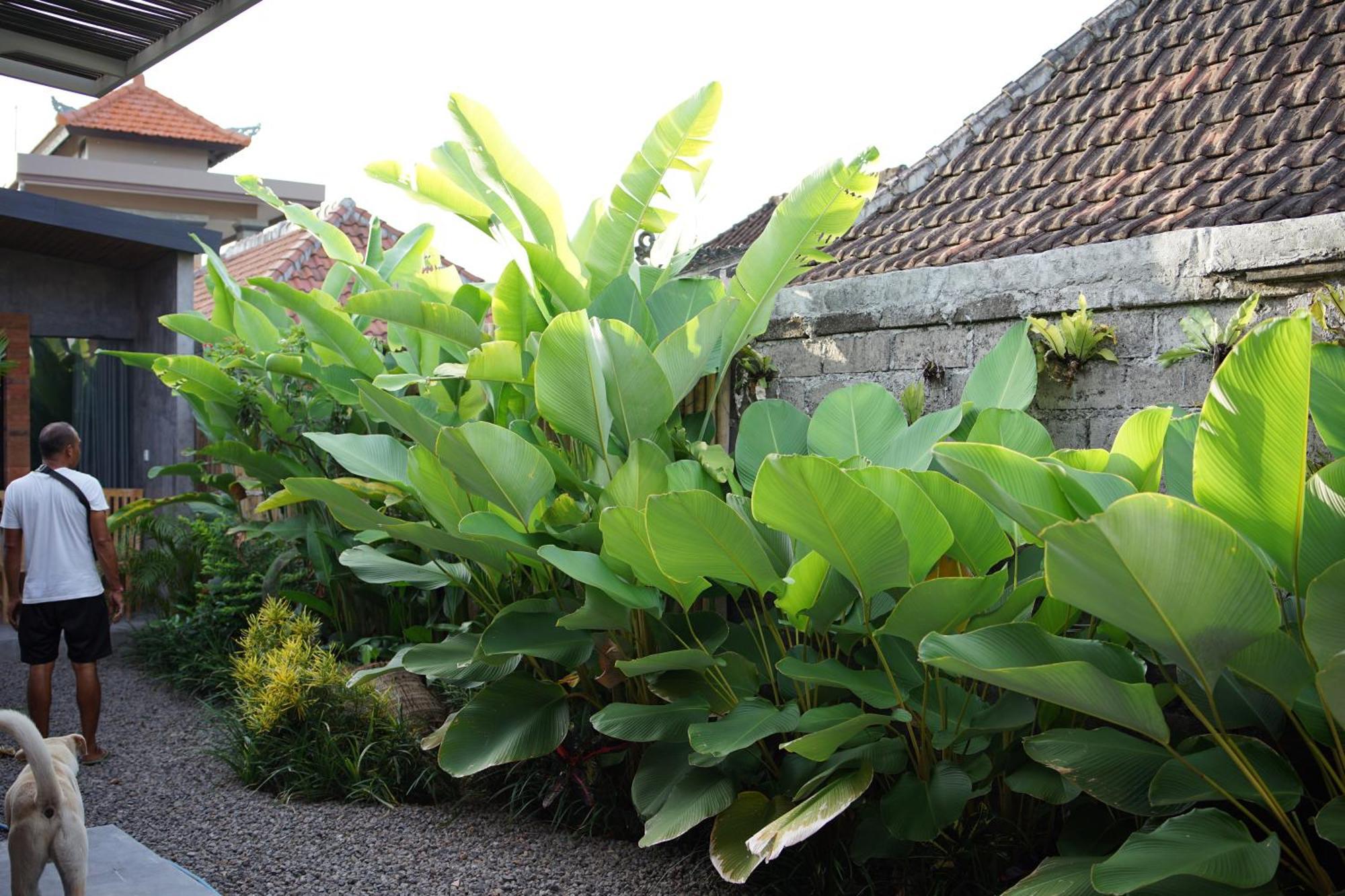 Dedeane Ubud Exterior foto